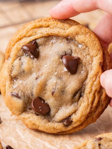 Chewy cookie with chocolate chips being held to show the texture.