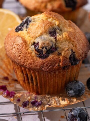 Lemon blueberry muffins on a rack with blueberries around.